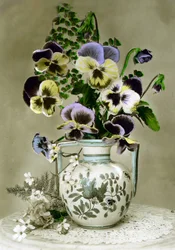 Vase of Pansies